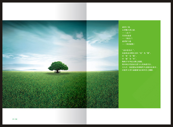 農產品畫冊設計,農業宣傳冊設計