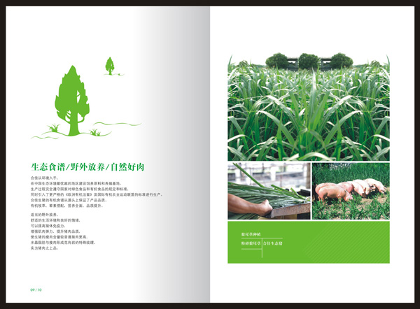農產品畫冊設計,農業宣傳冊設計
